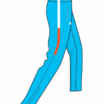 Female Hamilton Synquatics Tracksuit Bottoms - Image 2